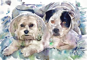 Dogs Watercolor on paper