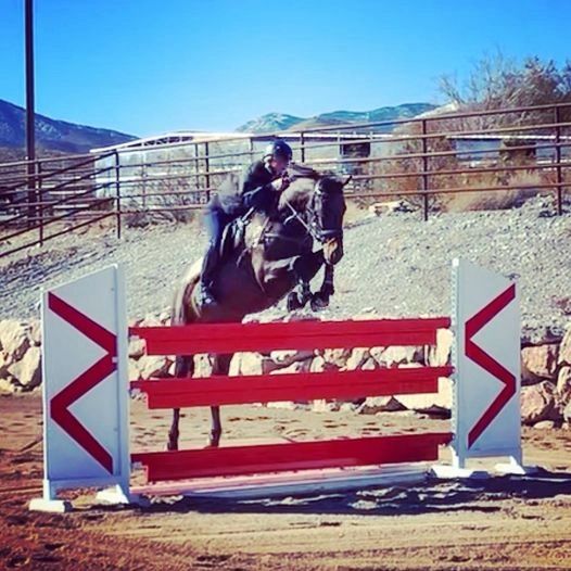 S & F Ranch