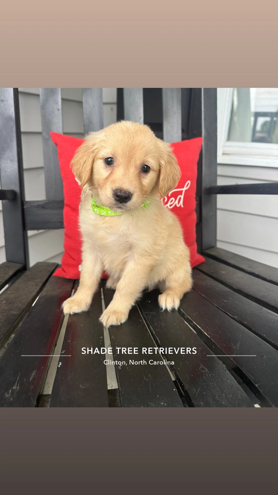 This baby girl will be ready to join your family July 3rd. 