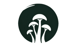Happy Hollow Shrooms