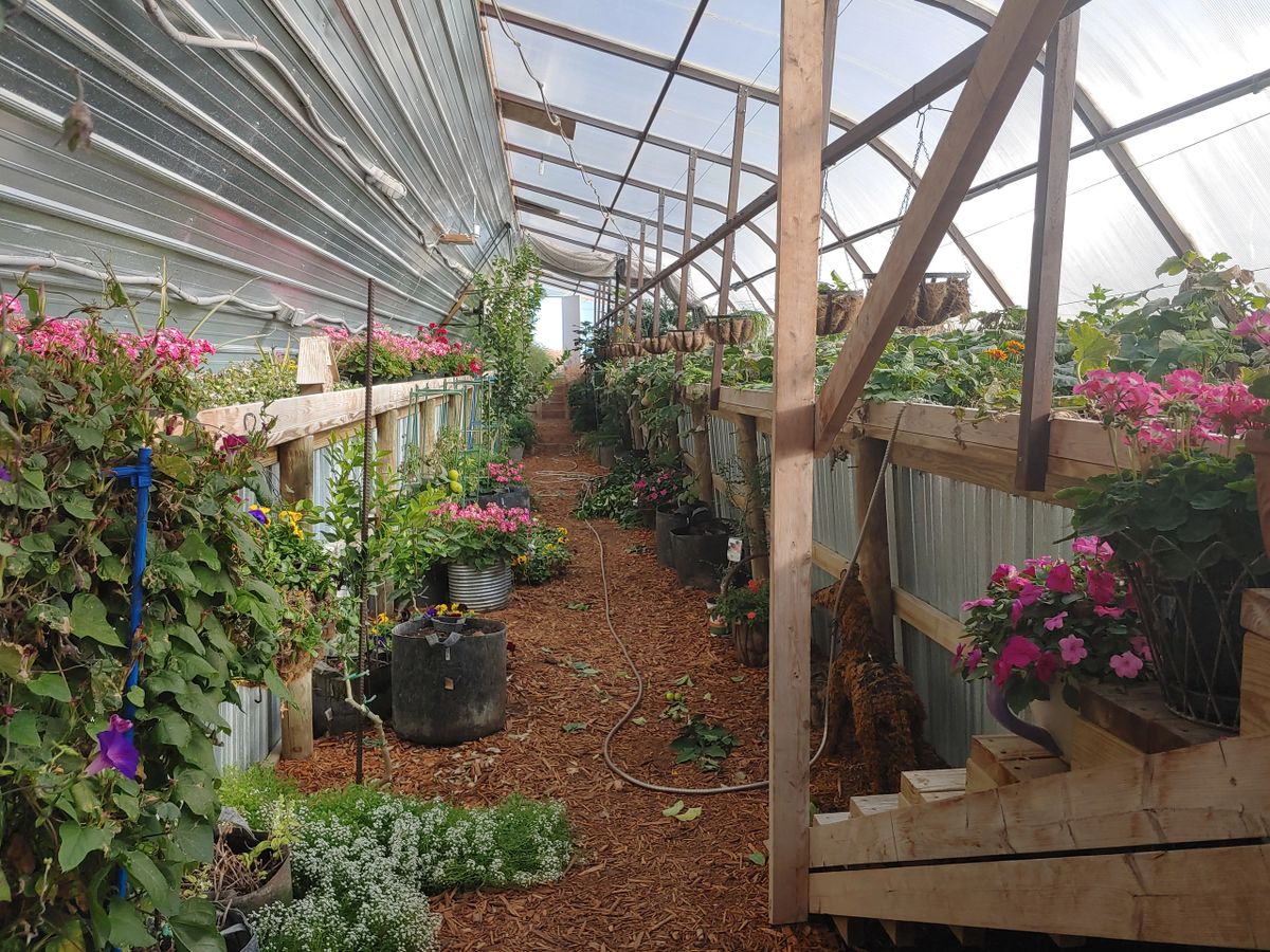 Greenhouse Information Packet