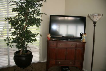 TV on dark wood dresser next to plant