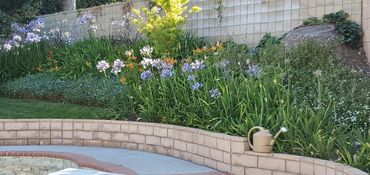 Garden with flowers and stone wall