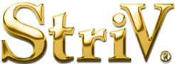 StriV<!-- Facebook Pixel Code -->
<script>
!function(f,b,e,v,n,t,