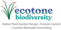 Ecotone Biodiversity