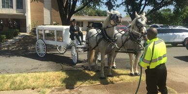 horse drawn hearse, horse drawn funeral, percheron teams, horse drawn carriage texas oklahoma