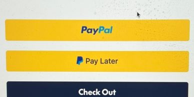 Screenshot showing PayPal and Pay Later options with a Check Out button.