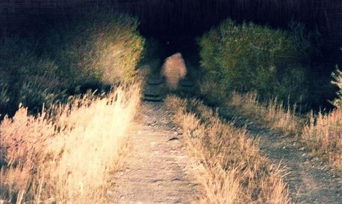 Alleged image of the Yucca Man at the Hidden Valley Campsite near Joshua Tree from 1990.