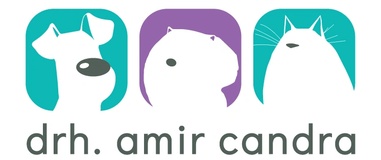 drh Amir Candra