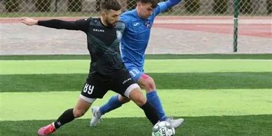 Two soccer players competing for the ball on a green field.