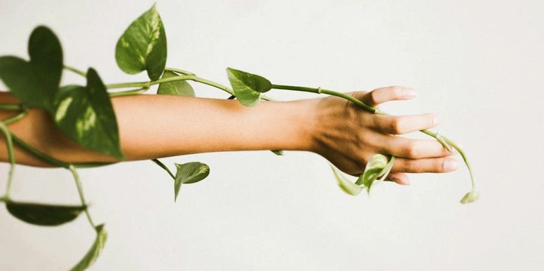 Episode art for 'Your Body's Secret Language of Healing'