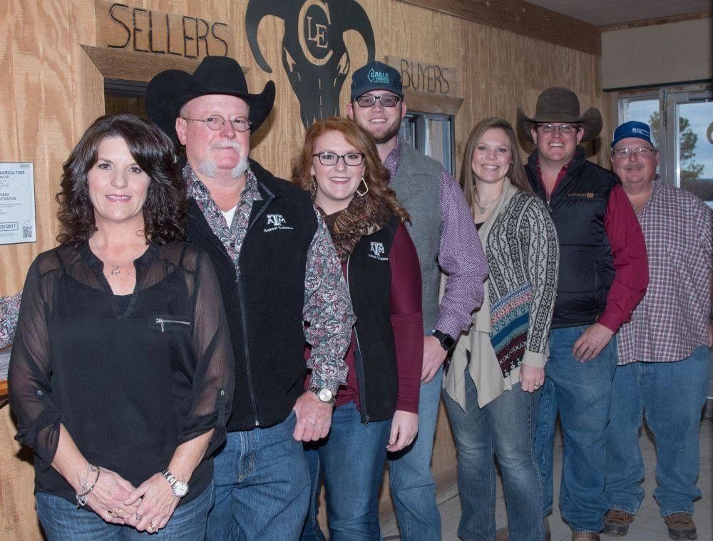 Cattle Auction Comanche Livestock Exchange