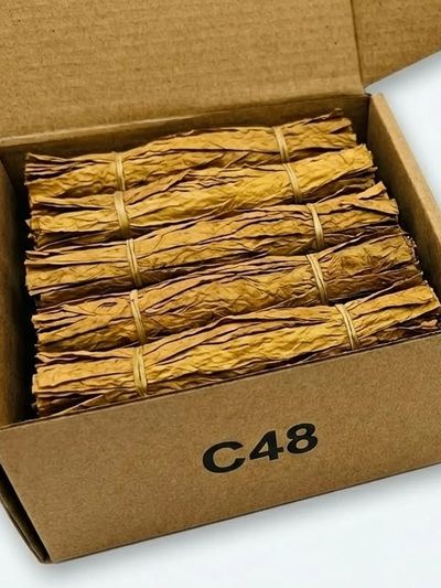 is rabbit tobacco illegal Rabbit tobacco plant uses and benefits