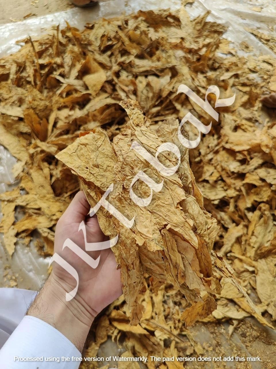 pak tobacco Pakistan Company Tobacco growers plan protest against