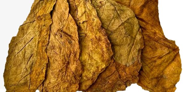 how to apply for tobacco license in georgia How To Become a Bartender in Georgia
