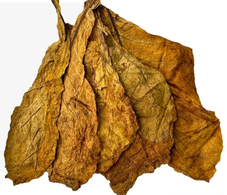 tobacco export Mastering Tobacco Export: Key Strategies for Success