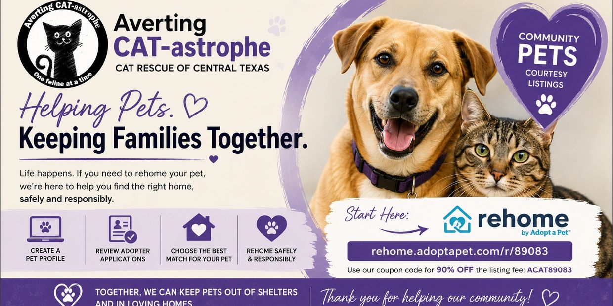 A dog and cat promoting pet rehoming through Adopt a Pet's rehome program.