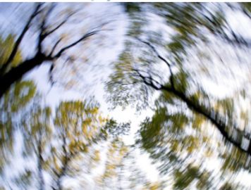 Dizziness Branford and Northford Connecticut Physical Therapy