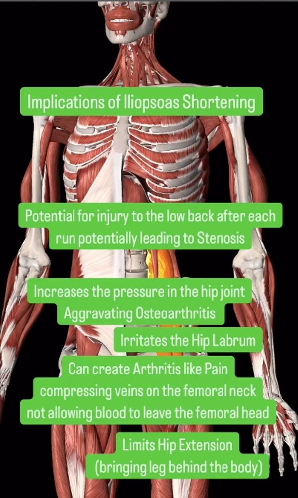 A body with skin removed showing muscles with key words from the body of text accompanying it