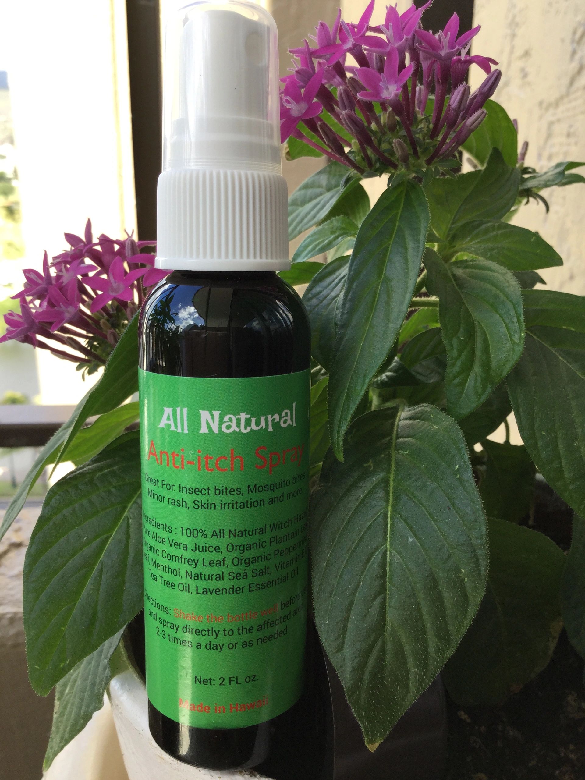 all natural anti itch for dogs all natural anti itch for dogs