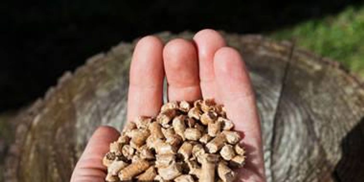 Pellets Lumber And Building Materials