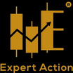 Expert Action Stock Market Price Action Trading Academy