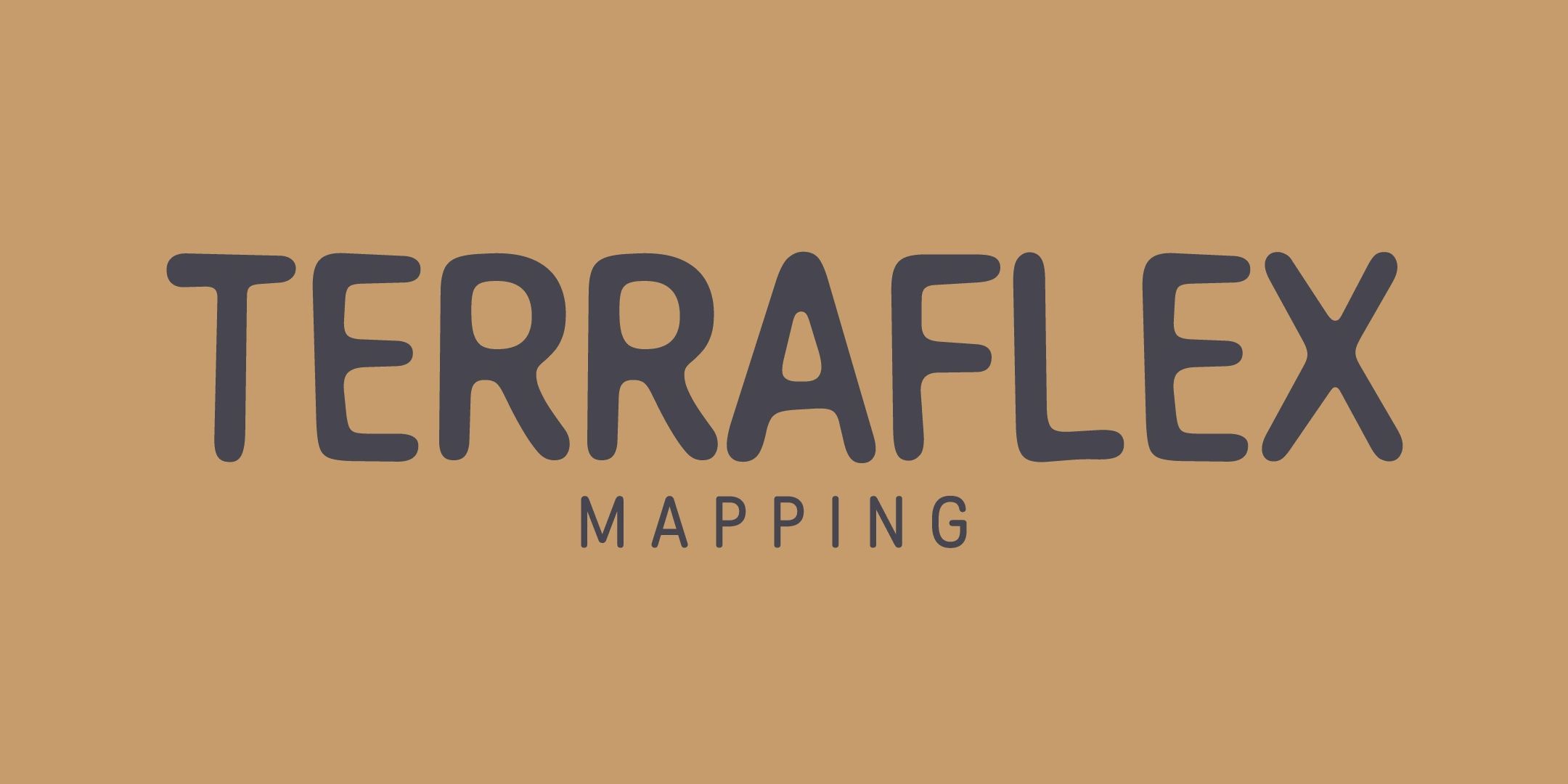 Terraflex Mapping Logo