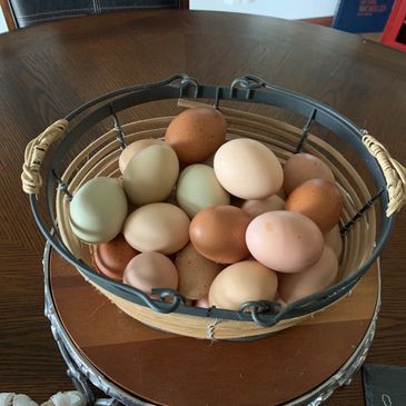 Eggs on the bucket
