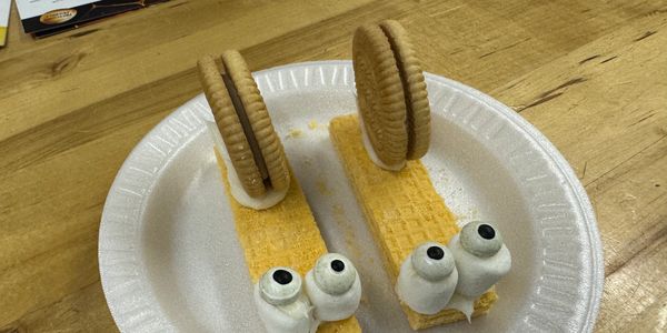Two dessert snails made with wafers, cookies, and cream on a white plate.