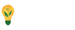 Purus Energy