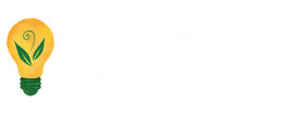 Purus Energy
