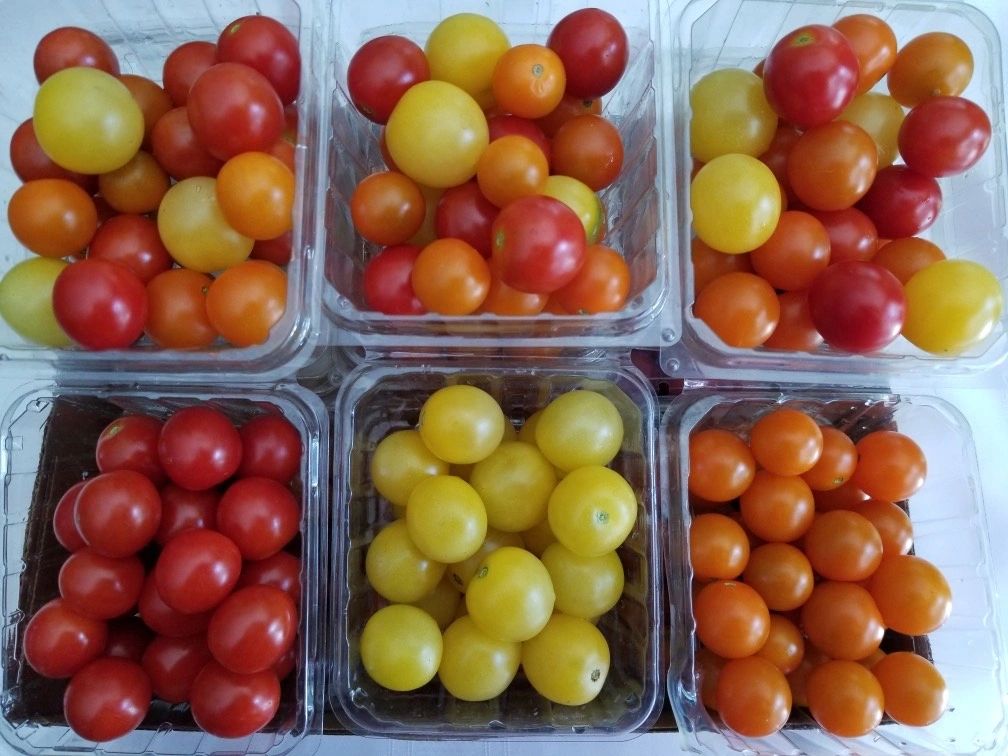 Prairie Hill Organics photo 15
