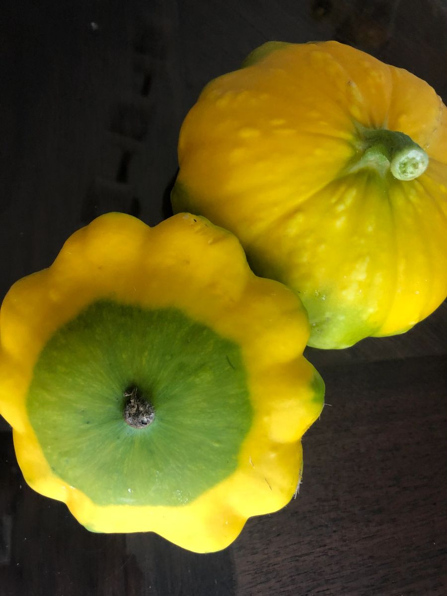 Prairie Hill Organics photo 8