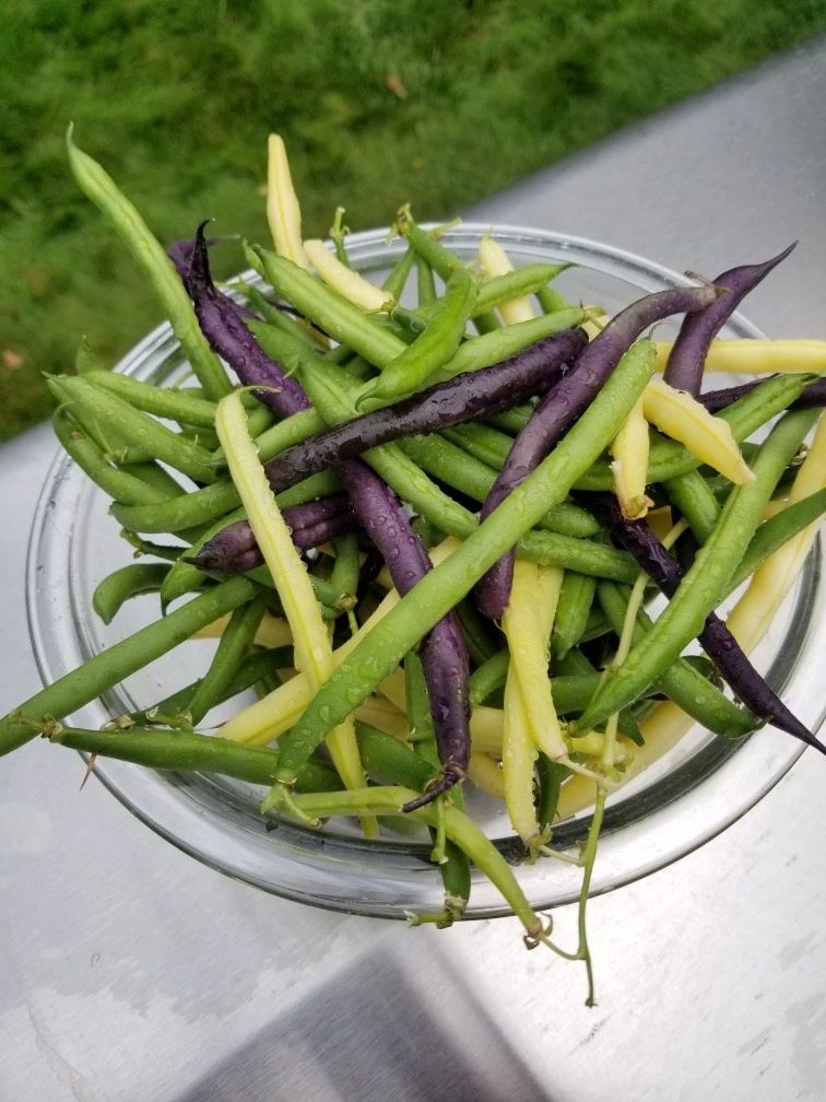Prairie Hill Organics photo 7