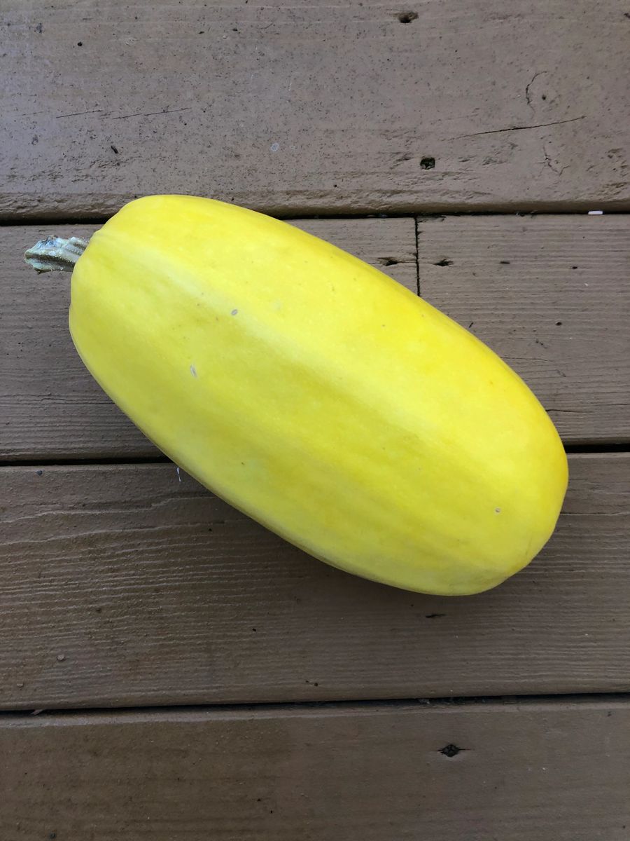 Prairie Hill Organics photo 9