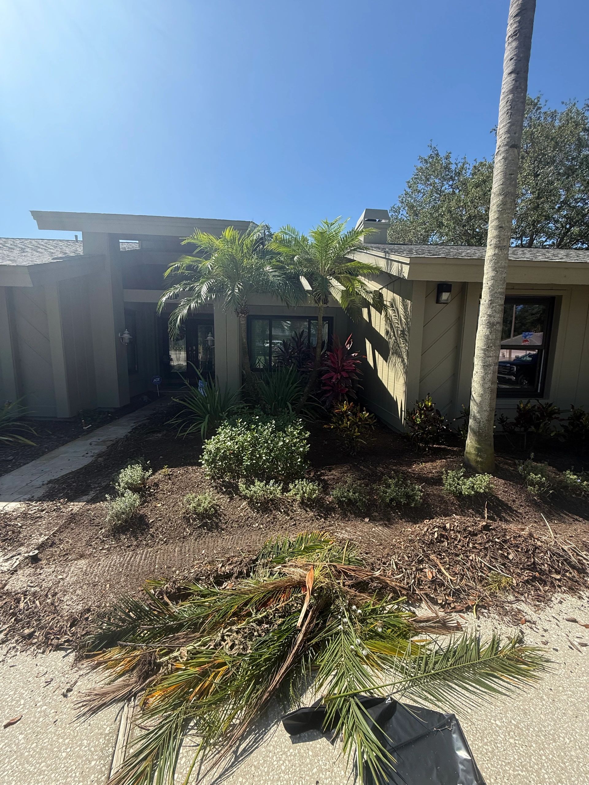 Clean up and prep work for the landscape