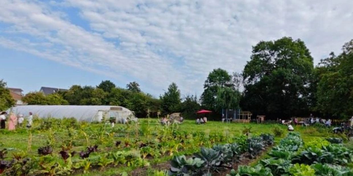 Ein Gemeinschaftsgarten mit verschiedenen Gemüsepflanzen und Menschen im Hintergrund.
