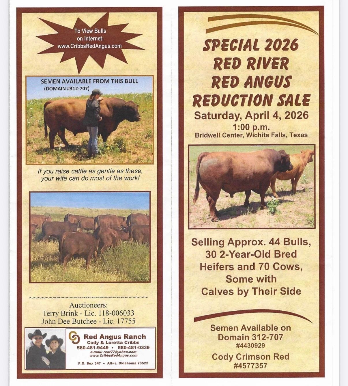 Advertisement for 2026 Red River Red Angus cattle sale in Texas with semen available.