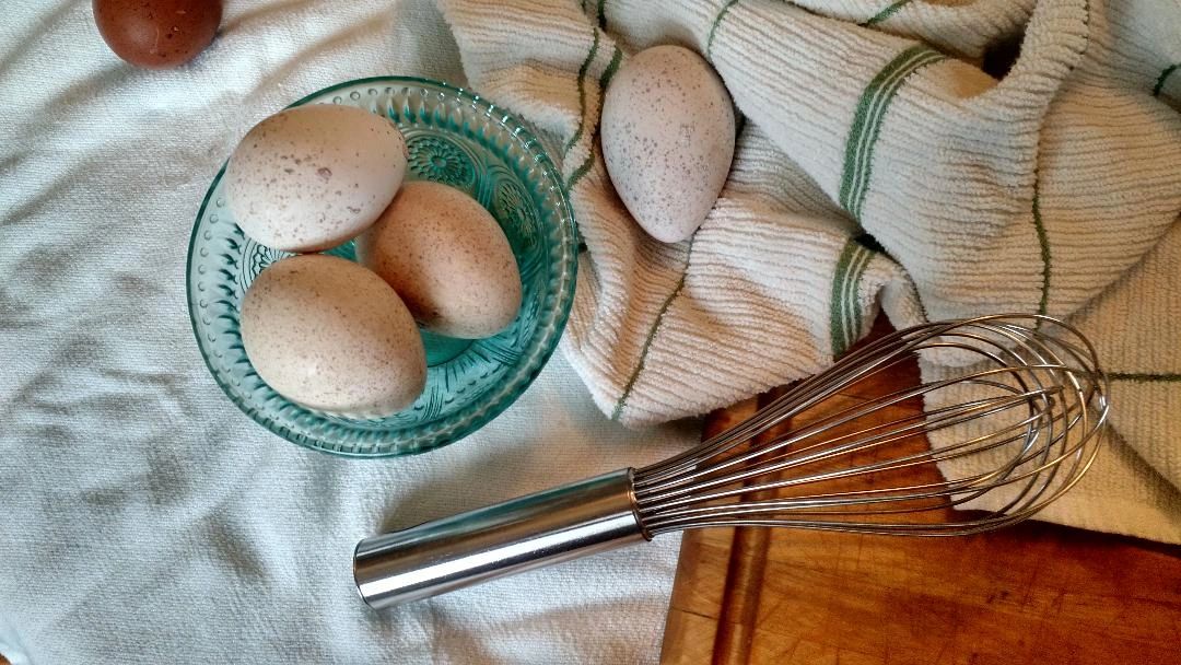 Are Turkey Eggs Edible? Yes!