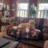 bernedoodle puppies reputable breeder Massachusetts New England doodles labradoodles goldendoodles