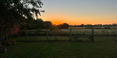 Sunset over a fenced rural field.
