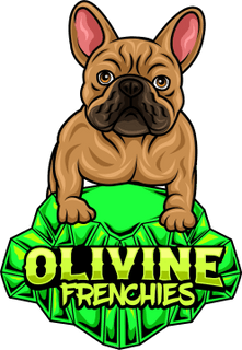 Olivine Frenchies