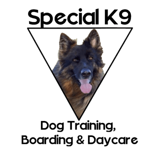 K9 boarding shop and training