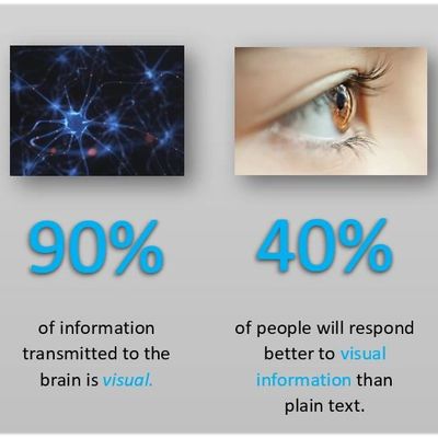 Visual Information Management Software