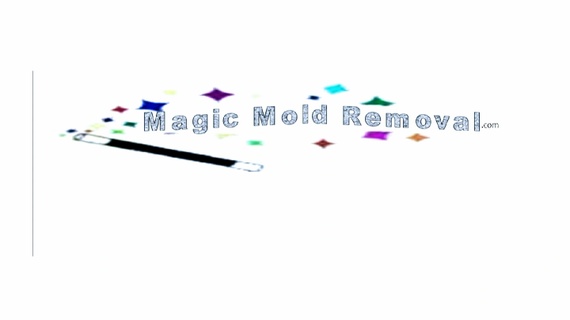  Magic Mold Removal