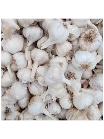 A pile of fresh whole garlic bulbs with papery white skin.