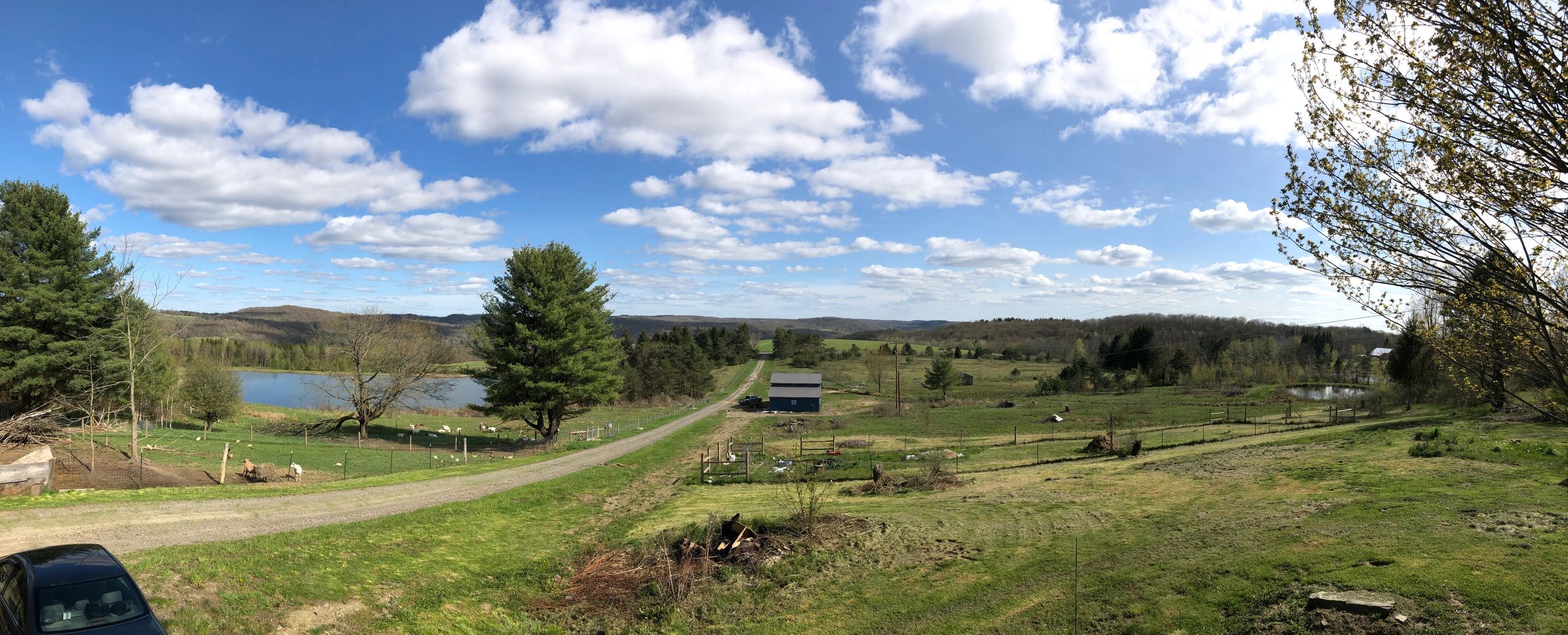 Taken March 16, 2020 from the front deck of our home.  Center is Nellie's Knoll Creamery.