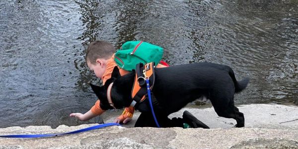 A boy and a black dog by the water's edge.