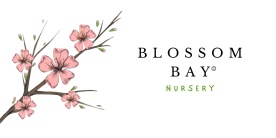 Blossom Bay Nursery