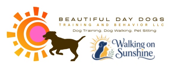 Beautiful Day Dogs